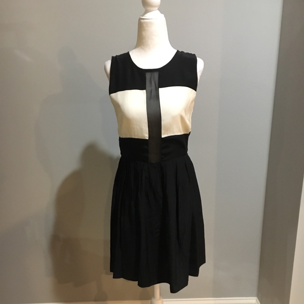 Parker Black & Ivory Sleeveless Silk Dress